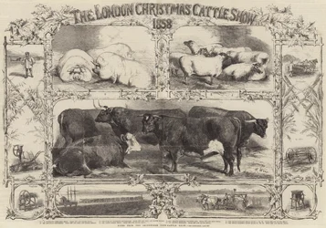 De Londense Kerstvee Show van 1858